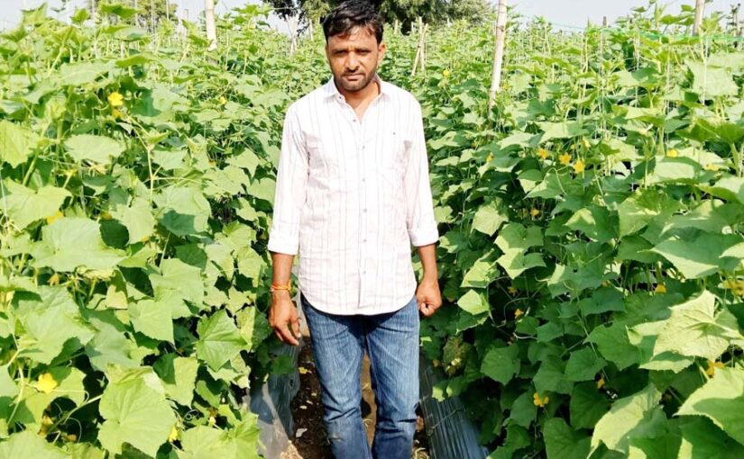 उद्यानिकी फसल से किसान की आय में हुआ इजाफा