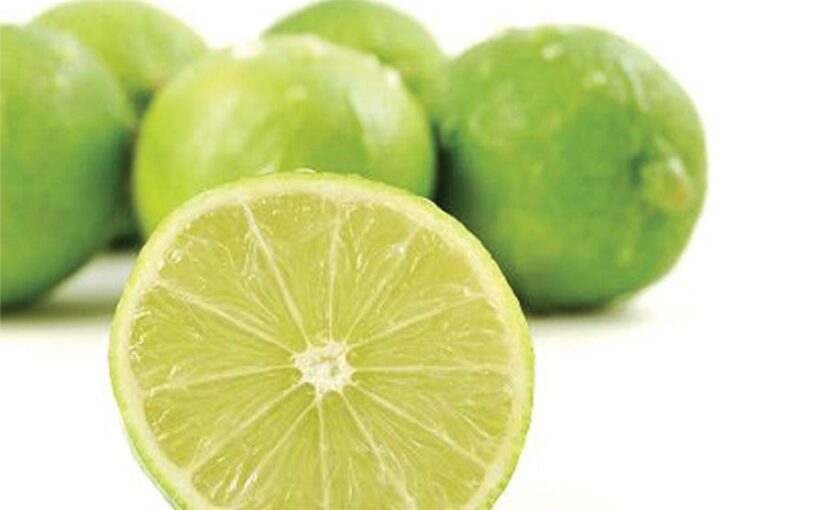 बीजरहित नीबू (Seedless Lemon) की खेती