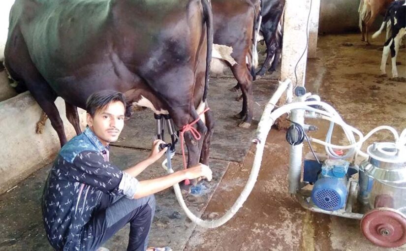 दुधारू पशुओं की प्रमुख बीमारियां और उन का उपचार