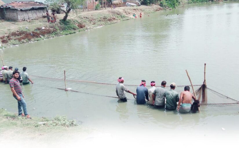 मछलीपालन (Fish Farming) पानी में पनपता रोजगार
