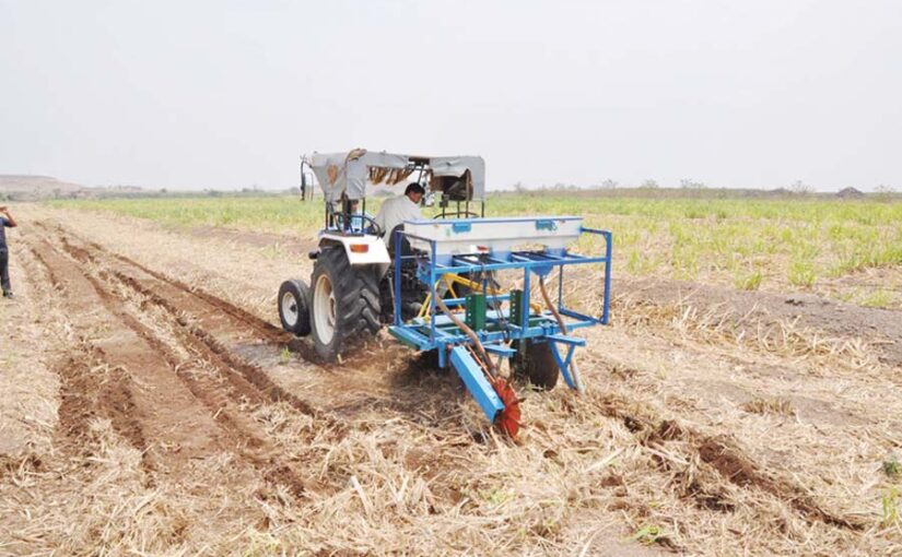सोर्फ मशीन (Machine) से गन्ने (sugarcane) की अच्छी पैदावार