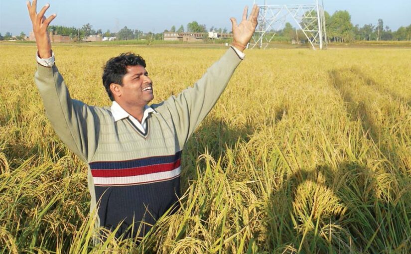 फसल से ज्यादा उत्पादन के मूलमंत्र