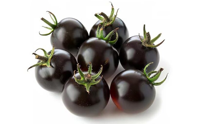 काला टमाटर (Black Tomato) बाजार में मचाएगा धूम
