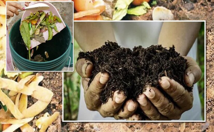 घर पर बना कंपोस्ट (Compost) है बेस्ट