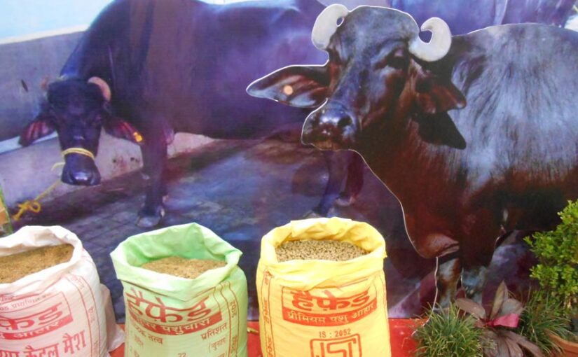 पशुपालन में खनिज मिश्रण का महत्त्व