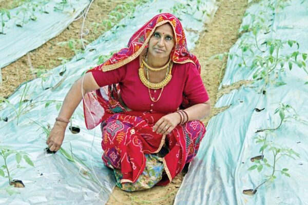 मुनाफे के लिए अपनाएं ये तरीके