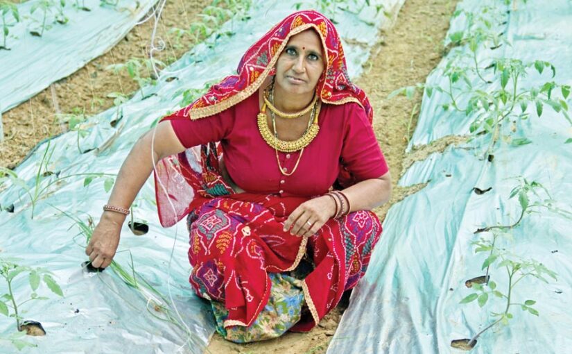 मुनाफे के लिए अपनाएं ये तरीके