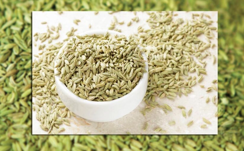 सौंफ (Fennel) की उन्नत खेती