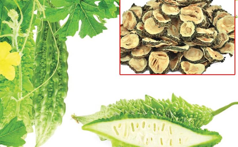 स्वास्थ्य के लिए खास है करेला