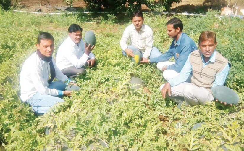 भरपूर लें उपज तरबूजेखरबूजे (Watermelon and Melon) की खेती से