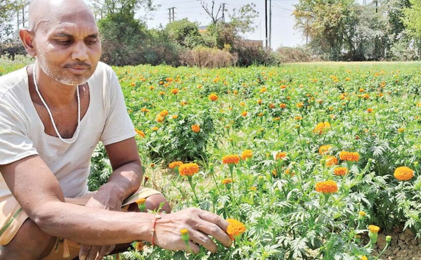 फूलों की खुशबू (Fragrance of Flowers) से खिला किसान का भविष्य