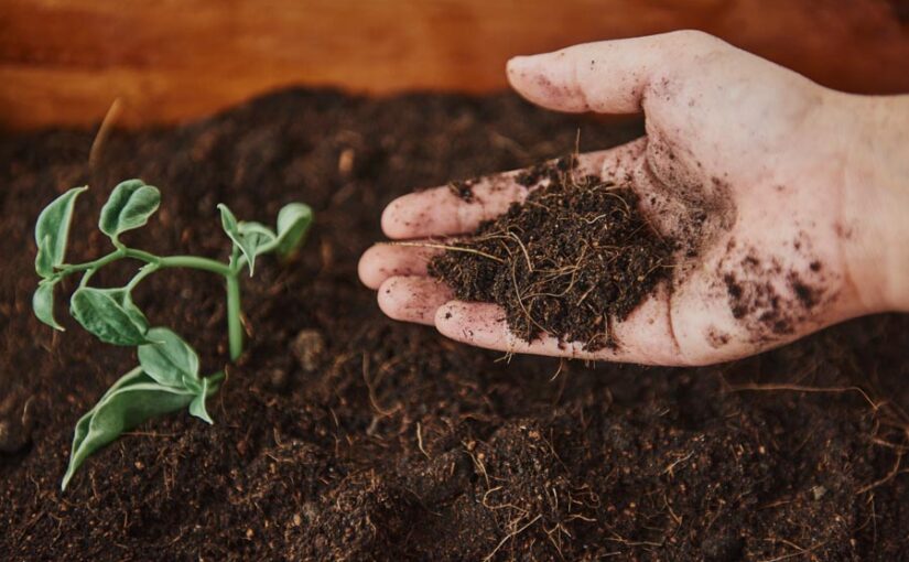 जैविक खेती (Organic Farming) को बढ़ावा, मिलती है माली मदद
