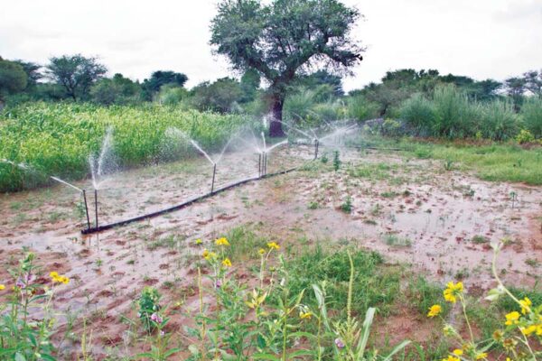 Micro-Irrigation : ‘पर ड्रौप मोर क्रौप’ माइक्रोइरीगेशन योजना