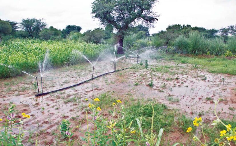 Micro-Irrigation : ‘पर ड्रौप मोर क्रौप’ माइक्रोइरीगेशन योजना