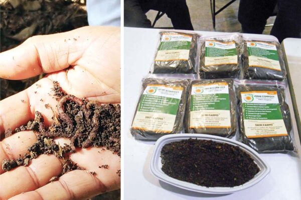 Vermi Compost : कमाई के हैं इस में मौके अपार