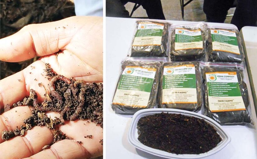 Vermi Compost : कमाई के हैं इस में मौके अपार