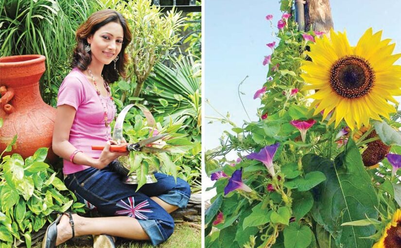 Home Garden : बागबानी से महकाएं घरद्वार