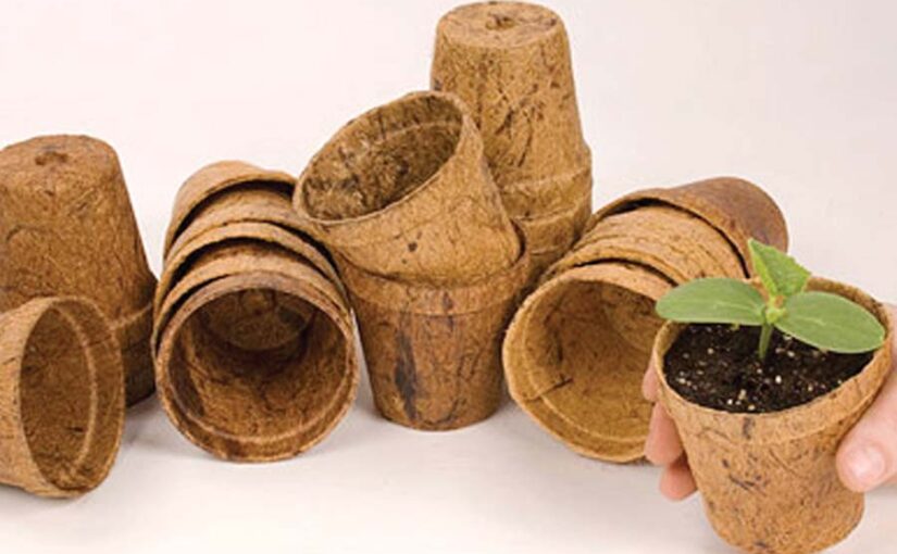 Agricultural Waste : खेती के कचरे को बनाएं कमाई का जरीया