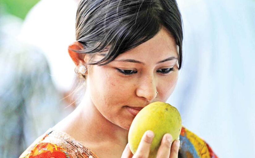 Mango : आम से अच्छी उपज के लिए उगाएं ये प्रजातियां