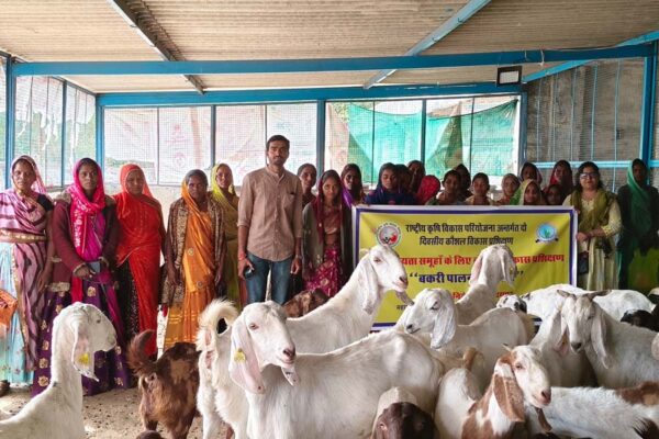 बकरीपालन है रोजगार का आसान जरीया – प्रो. अरविंद वर्मा