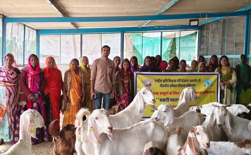 बकरीपालन है रोजगार का आसान जरीया – प्रो. अरविंद वर्मा