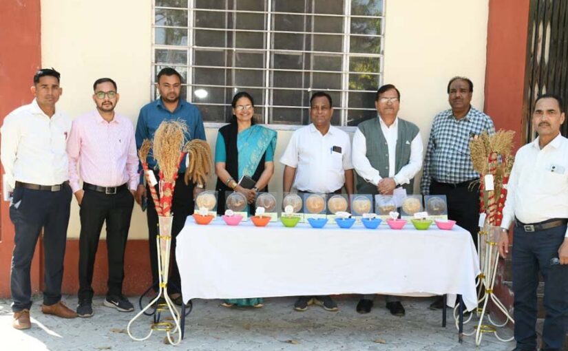 गरीबों का भोजन अब अमीरों की थाली में