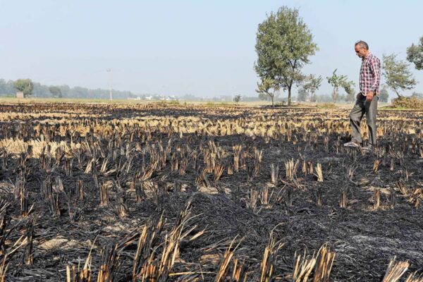 Field Fertility