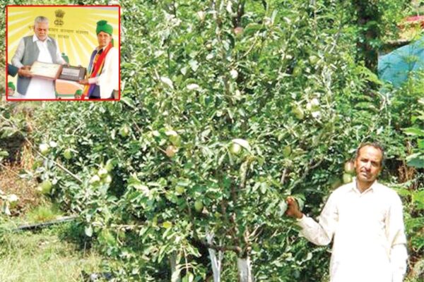 Hariman Sharma : हरिमन शर्मा ने उगाया गरम इलाकों में भी सेब