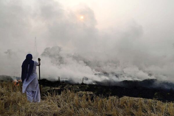 नरवाई जलाने (Burning Stubble) से नुकसान