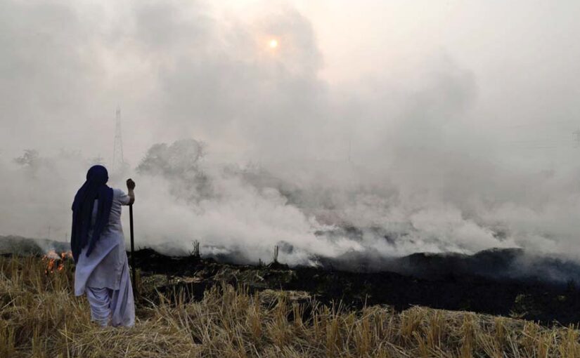 नरवाई जलाने (Burning Stubble) से नुकसान