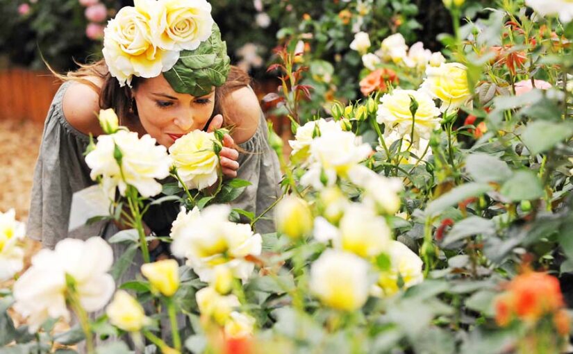 Floriculture :फ्लोरीकल्चर- फूलों सा खिलता कारोबार