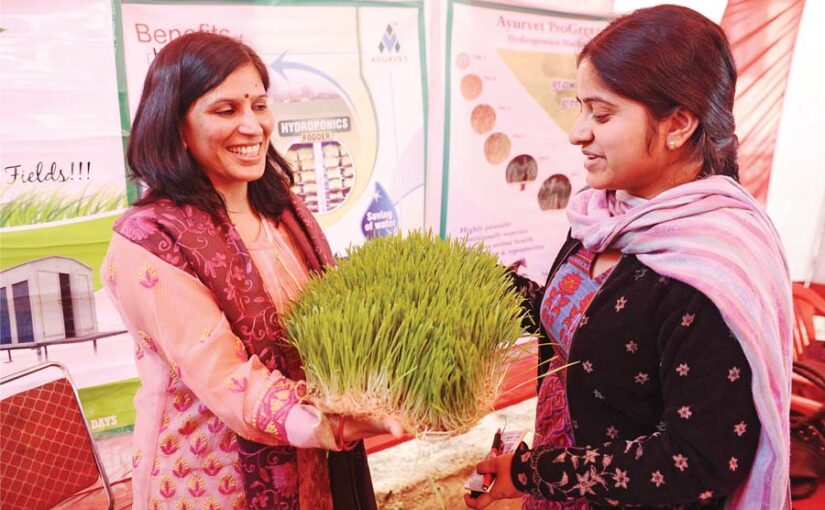 Hydroponics Technology : हाइड्रोपोनिक्स तकनीक से हरा चारा