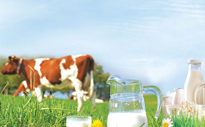 Dairy Farming : गरमियों में दूध को कैसे बढ़ाएं