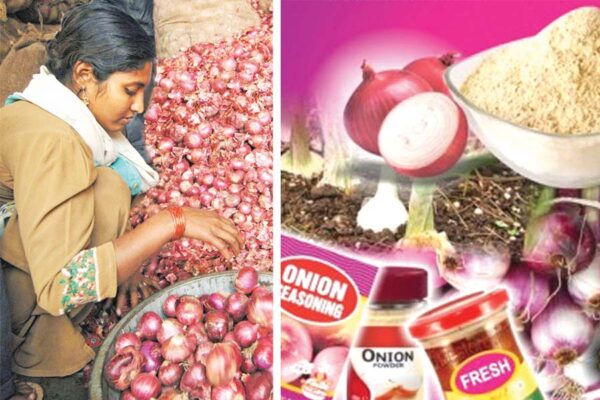 Onion Processing : प्याज की प्रोसैसिंग से होगी ज्यादा कमाई