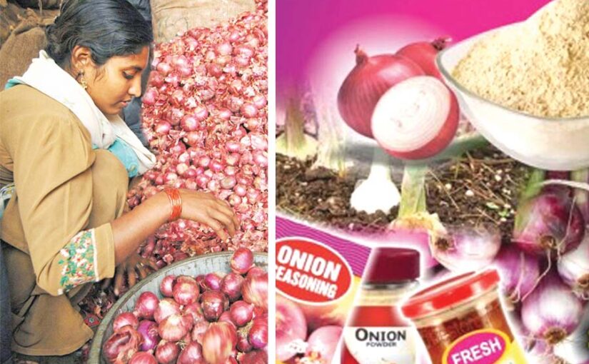 Onion Processing : प्याज की प्रोसैसिंग से होगी ज्यादा कमाई
