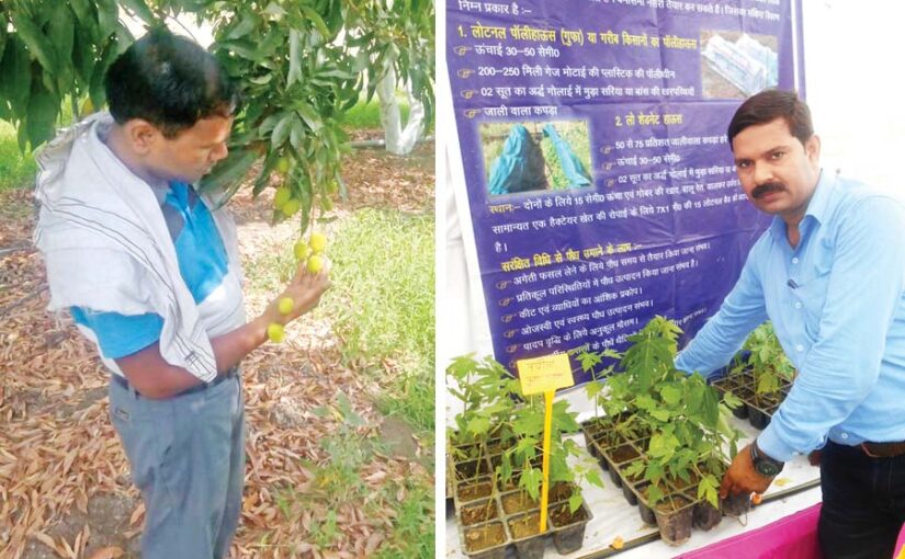 बगीचे (Garden) लगाने से पहले करें जरूरी काम