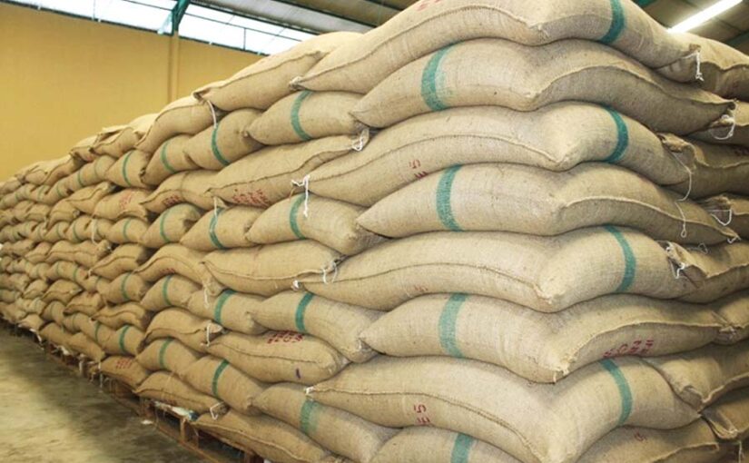 Grain Storage : वैज्ञानिक विधि से अनाज का भंडारण व कीटों की रोकथाम