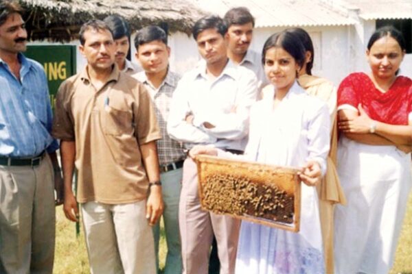 Beekeeping : मधुमक्खीपालन आमदनी बढ़ाने का जरीया