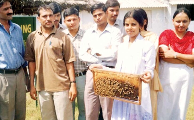 Beekeeping : मधुमक्खीपालन आमदनी बढ़ाने का जरीया