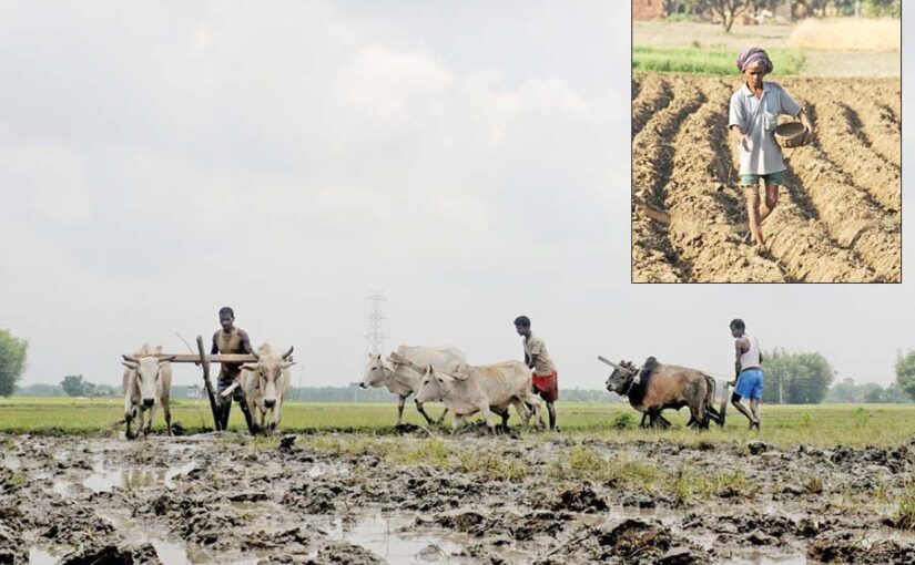Farmers Problems :किसानों की समस्याएं और उन के समाधान