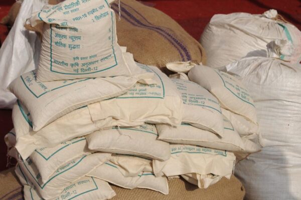 Seeds : अच्छी किस्म के बीजों को छोटे किसानों तक जल्दी पहुंचाएं
