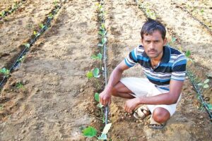 Drip Irrigation