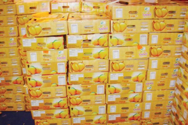 Mango