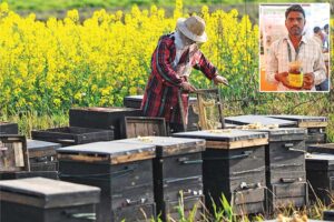 Beekeeping