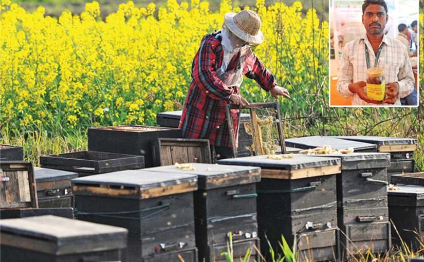 Beekeeping : मधुमक्खीपालन कब, कैसे और कहां