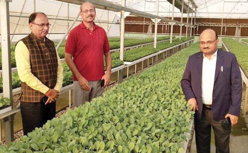 Gardening : बागबानों को उन्नति का रास्ता है फल उत्कृष्टता केंद्र