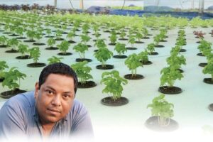 Aquaponics