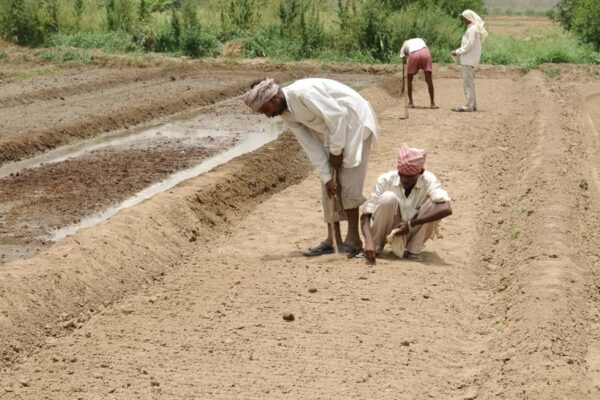 Farming Task