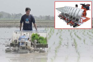 Rice Planter : बड़े काम का धान रोपने का यंत्र