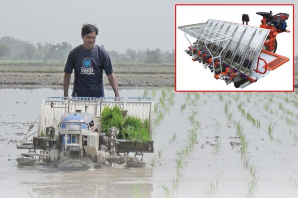 Rice Planter : बड़े काम का धान रोपने का यंत्र
